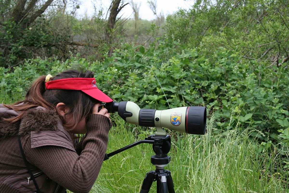 Ilustračná fotografia fotografa pri práci – Lucia Baranová